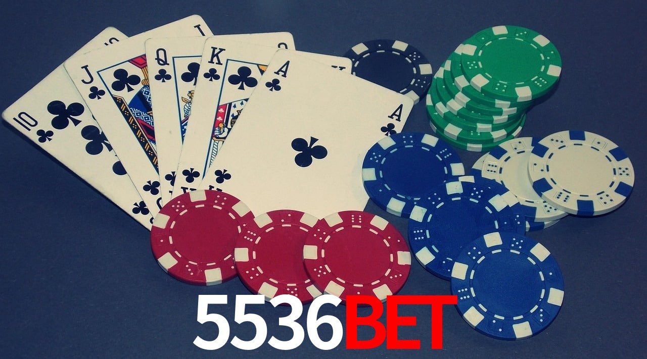 Experiência VIP 5536bet
