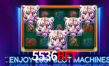 APP oficial da 5536bet para mobile